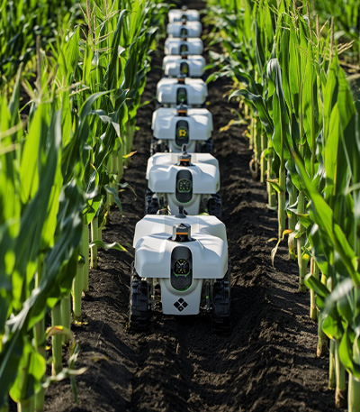 Agricultural Tools and Digital Services